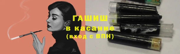 шишки Сосновка