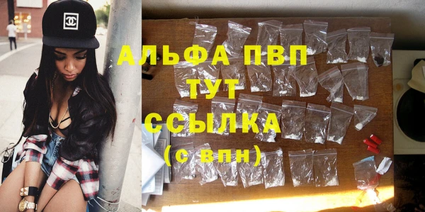 шишки Сосновка
