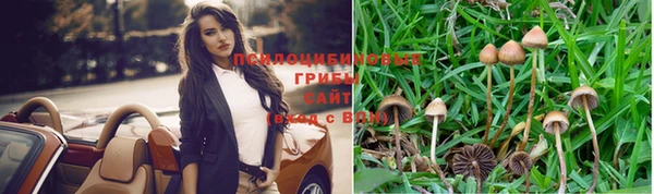 молекула духа Волосово