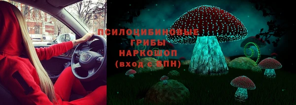 молекула духа Волосово