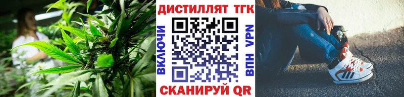 Дистиллят ТГК THC oil  ссылка на мегу ССЫЛКА  Верхняя Пышма 
